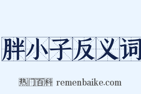 胖小子反义词是什么意思的图片